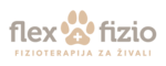 FlexFizio
